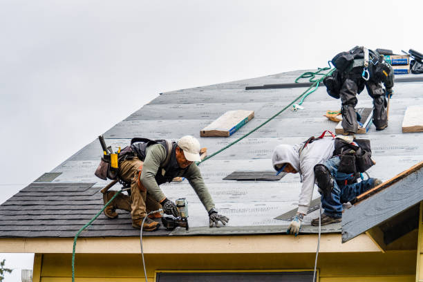 Professional Storm Damage Roof Repair technician working in Cerulean, KY